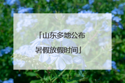 山东多地公布暑假放假时间