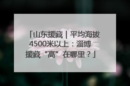 山东援藏｜平均海拔4500米以上：淄博援藏“高”在哪里？