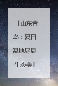 山东青岛：夏日湿地尽显生态美