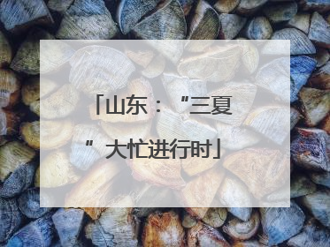山东：“三夏”大忙进行时