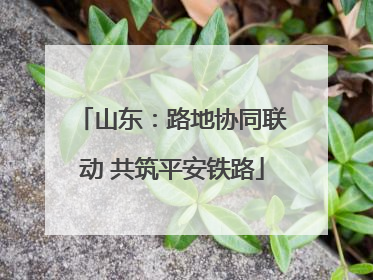 山东：路地协同联动 共筑平安铁路