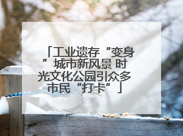 工业遗存“变身”城市新风景 时光文化公园引众多市民“打卡”