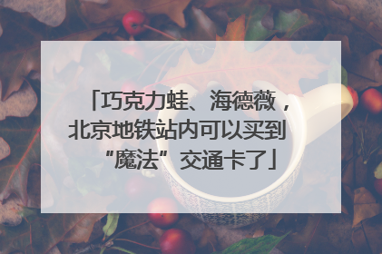 巧克力蛙、海德薇，北京地铁站内可以买到“魔法”交通卡了