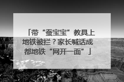 带“蚕宝宝”教具上地铁被拦？家长喊话成都地铁“网开一面”