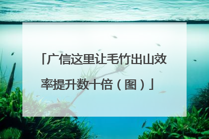 广信这里让毛竹出山效率提升数十倍（图）