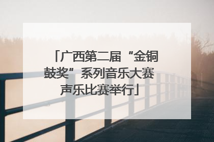 广西第二届“金铜鼓奖”系列音乐大赛声乐比赛举行