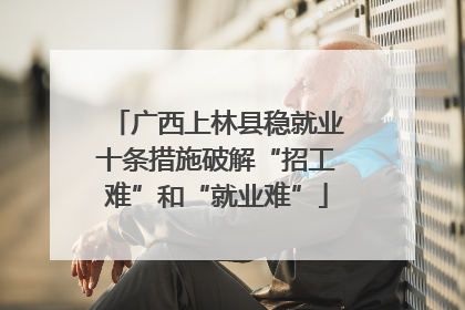 广西上林县稳就业十条措施破解“招工难”和“就业难”