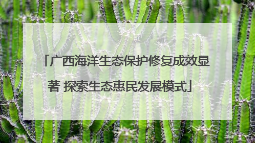 广西海洋生态保护修复成效显著 探索生态惠民发展模式