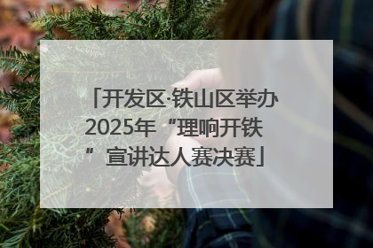 开发区·铁山区举办2025年“理响开铁”宣讲达人赛决赛