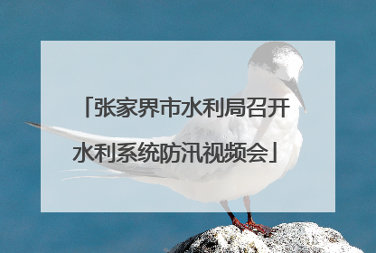 张家界市水利局召开水利系统防汛视频会