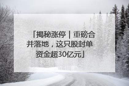 揭秘涨停｜重磅合并落地，这只股封单资金超30亿元
