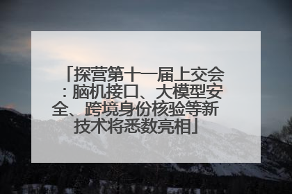 探营第十一届上交会：脑机接口、大模型安全、跨境身份核验等新技术将悉数亮相