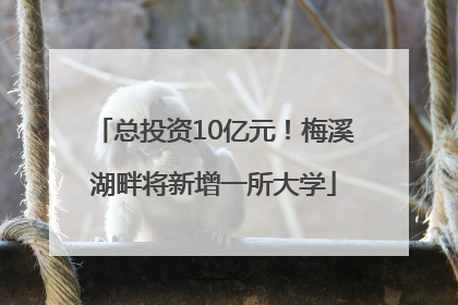 总投资10亿元！梅溪湖畔将新增一所大学