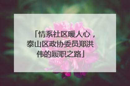 情系社区暖人心，泰山区政协委员郑洪伟的履职之路