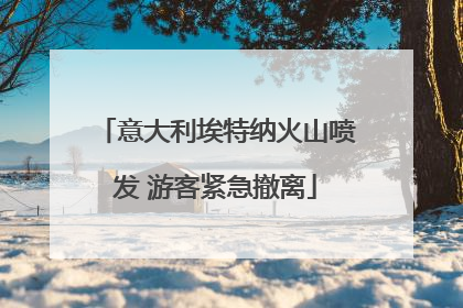 意大利埃特纳火山喷发 游客紧急撤离