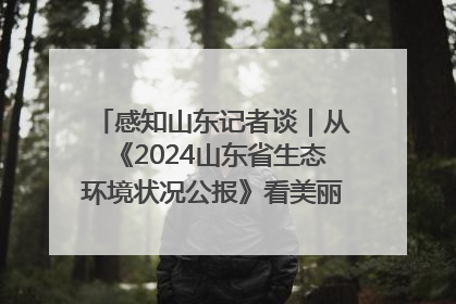 感知山东记者谈｜从《2024山东省生态环境状况公报》看美丽山东建设的“成绩单”与“任务书”
