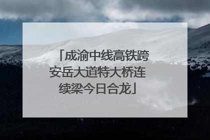 成渝中线高铁跨安岳大道特大桥连续梁今日合龙