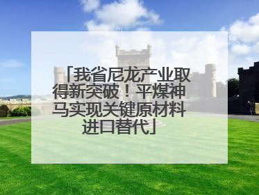 我省尼龙产业取得新突破！平煤神马实现关键原材料进口替代