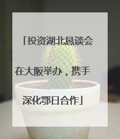 投资湖北恳谈会在大阪举办，携手深化鄂日合作