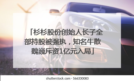 杉杉股份创始人长子全部持股被强执，知名牛散魏巍斥资1亿元入局