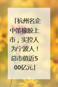 杭州名企中策橡胶上市，实控人为宁波人！总市值近500亿元