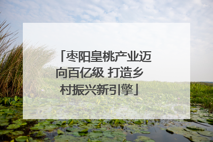 枣阳皇桃产业迈向百亿级 打造乡村振兴新引擎