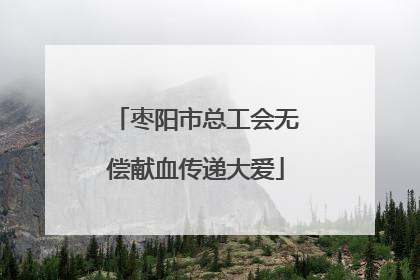 枣阳市总工会无偿献血传递大爱