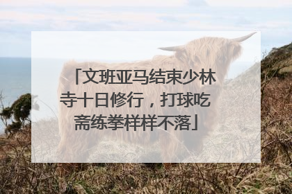 文班亚马结束少林寺十日修行，打球吃斋练拳样样不落