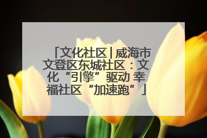 文化社区│威海市文登区东城社区:文化“引擎”驱动 幸福社区“加速跑”