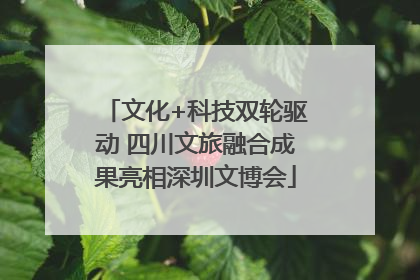文化+科技双轮驱动 四川文旅融合成果亮相深圳文博会
