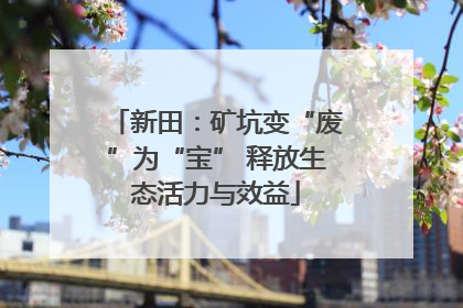 新田：矿坑变“废”为“宝” 释放生态活力与效益