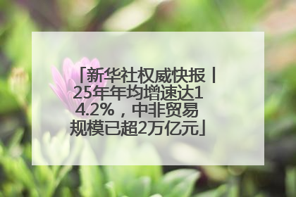 新华社权威快报丨25年年均增速达14.2%，中非贸易规模已超2万亿元