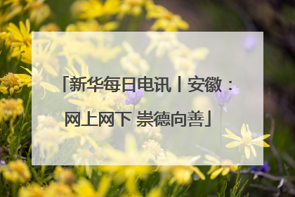 新华每日电讯丨安徽：网上网下 崇德向善