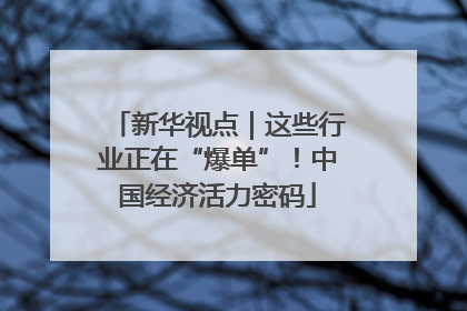 新华视点｜这些行业正在“爆单”！中国经济活力密码