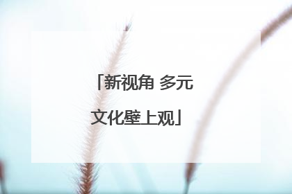 新视角 多元文化壁上观