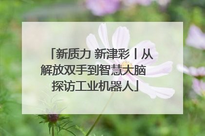 新质力 新津彩丨从解放双手到智慧大脑 探访工业机器人
