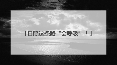 日照这条路“会呼吸”！