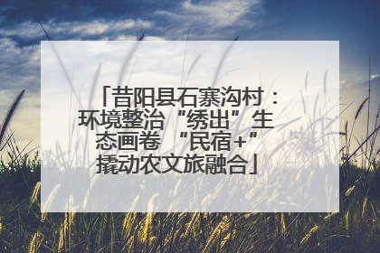 昔阳县石寨沟村：环境整治“绣出”生态画卷 “民宿+”撬动农文旅融合
