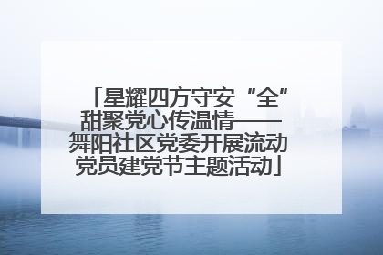 星耀四方守安“全” 甜聚党心传温情——舞阳社区党委开展流动党员建党节主题活动