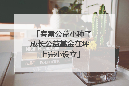 春雷公益小种子成长公益基金在坪上完小设立