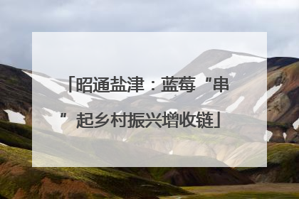 昭通盐津：蓝莓“串”起乡村振兴增收链