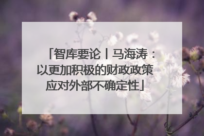 智库要论丨马海涛：以更加积极的财政政策应对外部不确定性