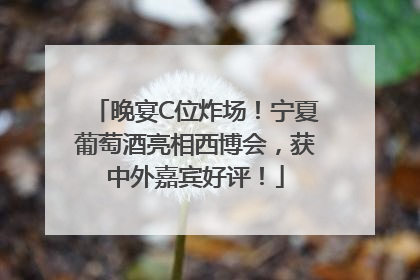 晚宴C位炸场！宁夏葡萄酒亮相西博会，获中外嘉宾好评！
