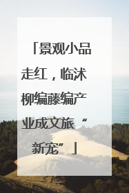 景观小品走红，临沭柳编藤编产业成文旅“新宠”