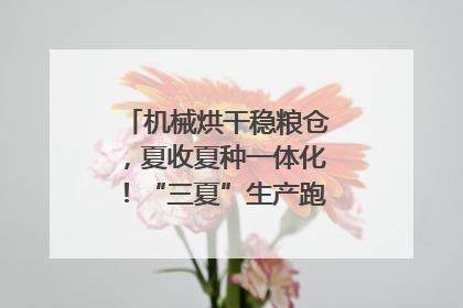 机械烘干稳粮仓，夏收夏种一体化！“三夏”生产跑出加速度｜麦报