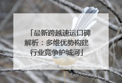 最新跨越速运口碑解析：多维优势构建行业竞争护城河