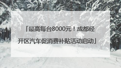 最高每台8000元！成都经开区汽车促消费补贴活动启动