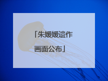朱媛媛遗作画面公布