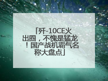 歼-10CE火出圈，不愧是猛龙！国产战机霸气名称大盘点