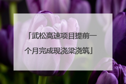 武松高速项目提前一个月完成现浇梁浇筑